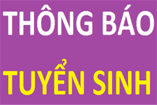 Thông báo tuyển sinh cấp chứng chỉ ứng dụng Công nghệ thông tin (Theo chuẩn kỹ năng sử dụng Công nghệ thông tin cơ bản)